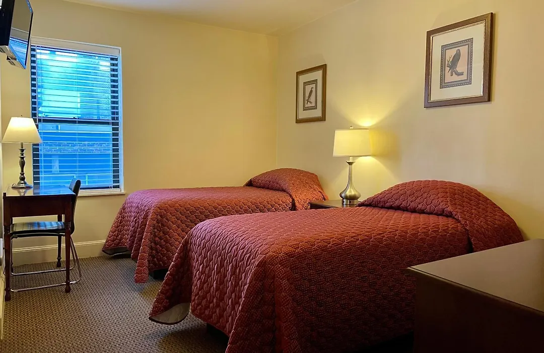 Oasis Guest House-1