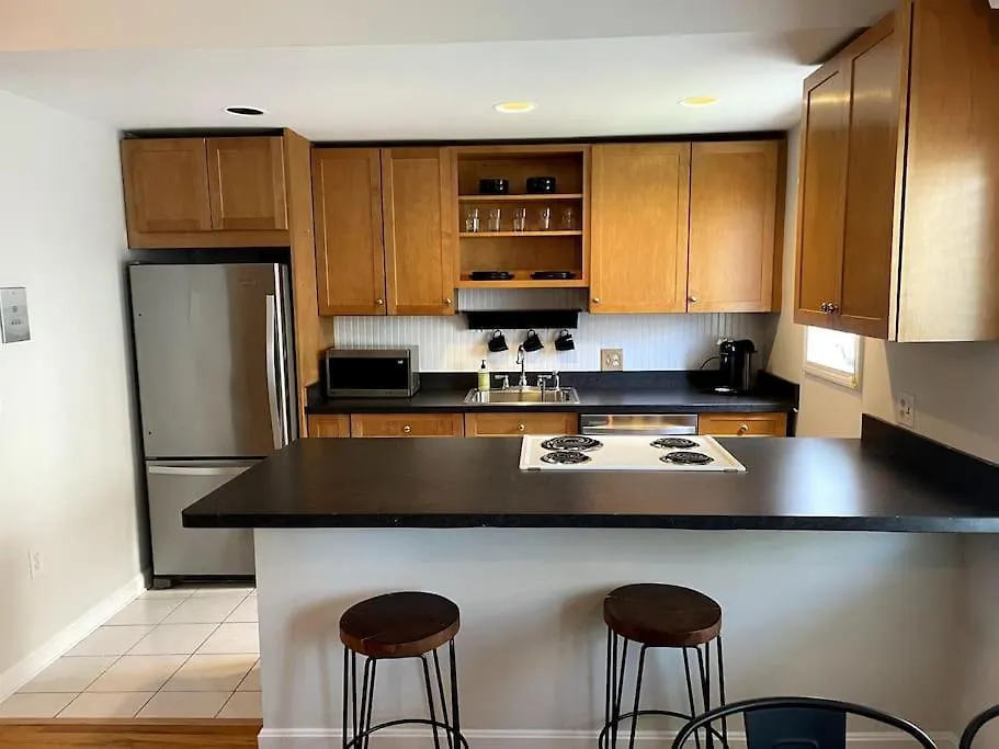 Lovely Two Bedroom Condo In South Boston-1