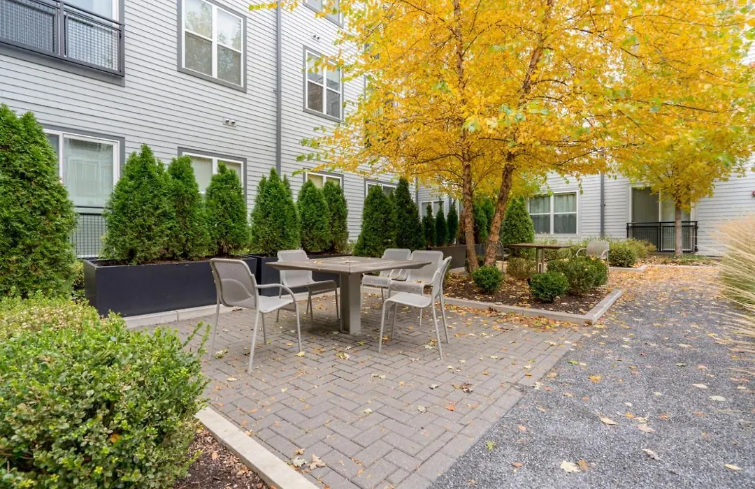 S Boston 1Br W Gym Wd By Seaport Lawn On D Bos-347-1