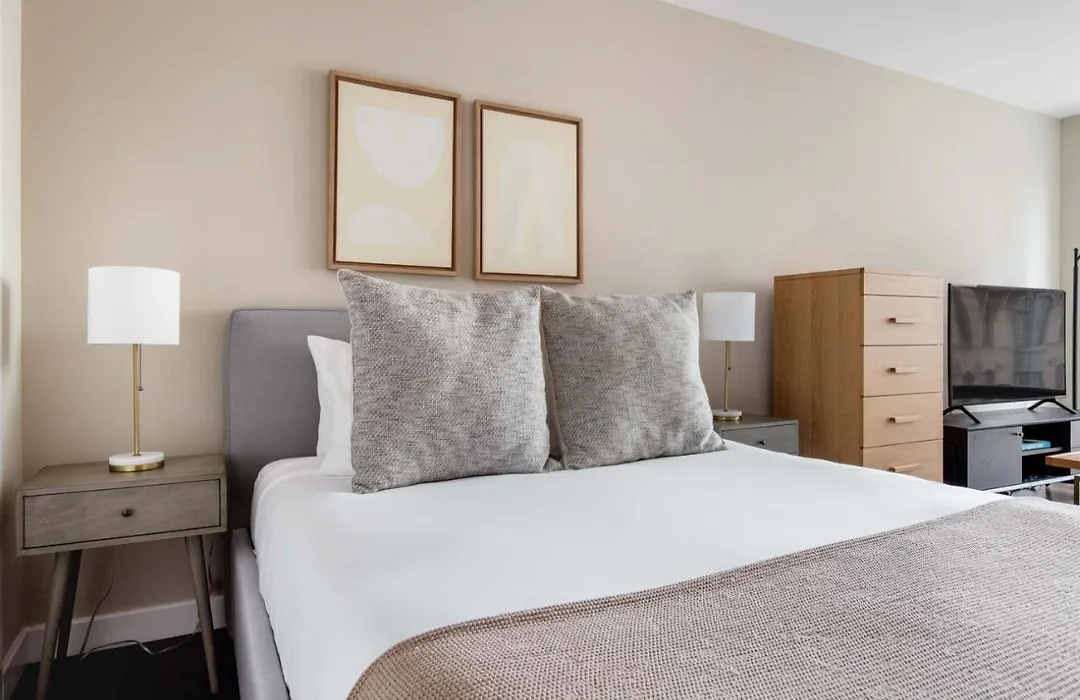 Back Bay Studio W Gym Wd Nr Restaurants Bos-867-1