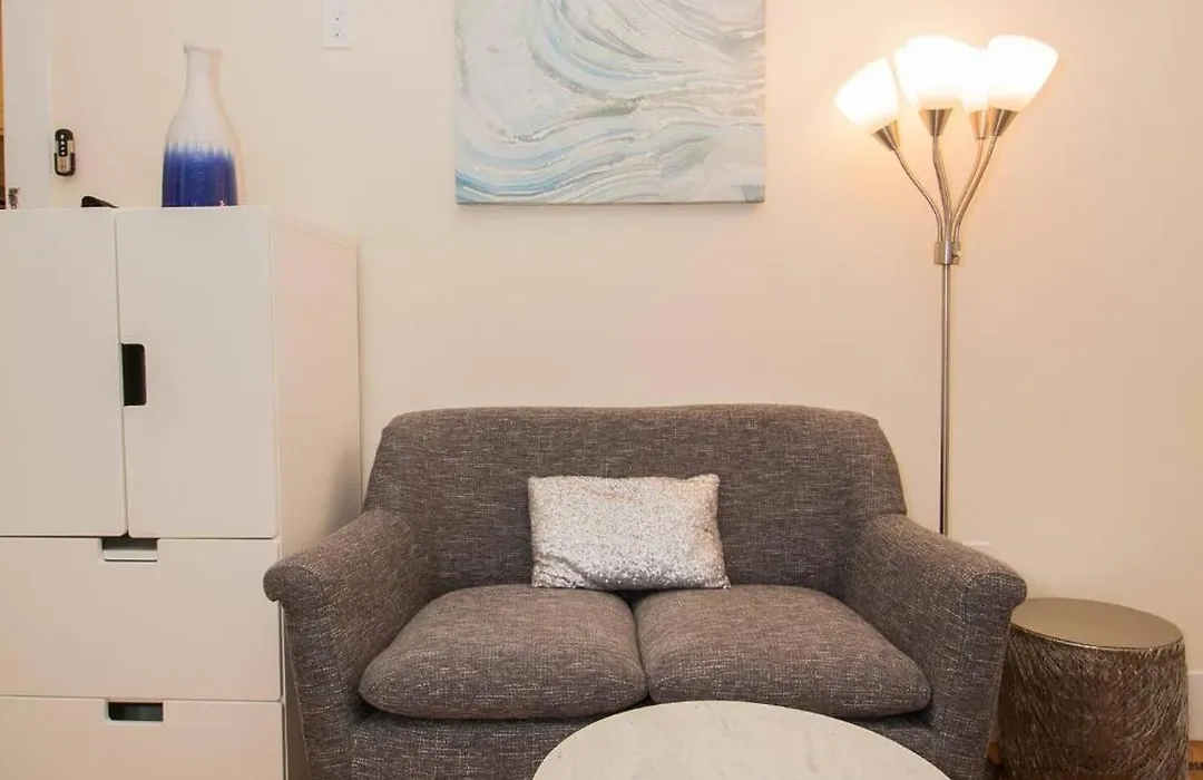 Renovated, Sunny, Spacious Studio In Boston-1
