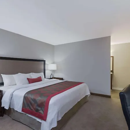 Ramada By Wyndham Boston-3