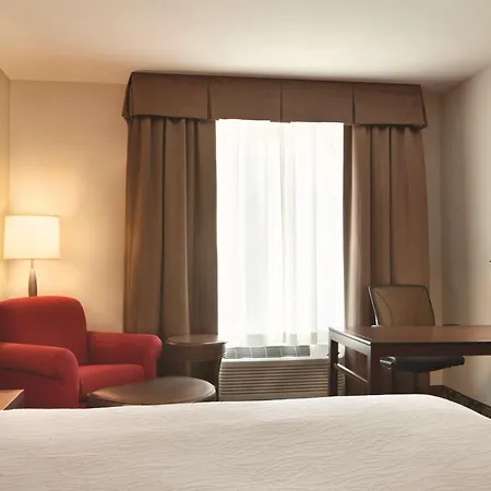 Hilton Garden Inn Boston Logan Airport-2