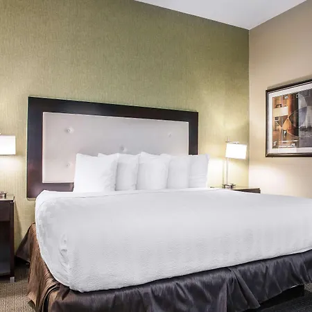 Envision Hotel Boston-Longwood, Ascend Hotel Collection-3
