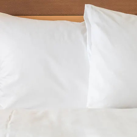Hotel Indigo Boston Garden By Ihg-3