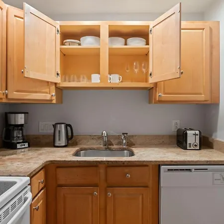 Brighton 1Br Nr Sutherland Rd Green Line Bos-722-2
