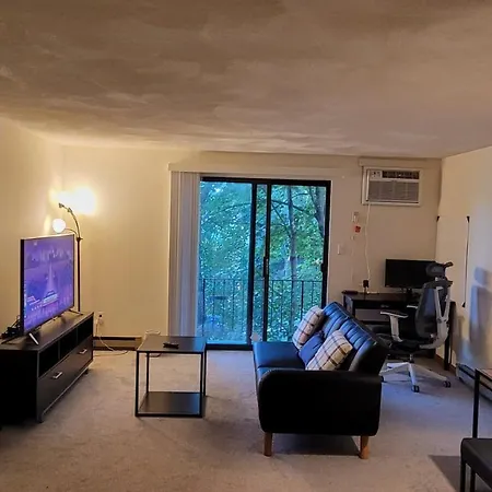 Spacious 1Bd Apartment In Boston-2