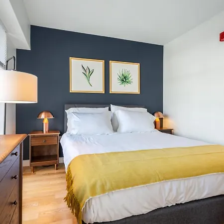 Back Bay 1Br W Wd Gym Doorman Nr T Station Bos-85-3