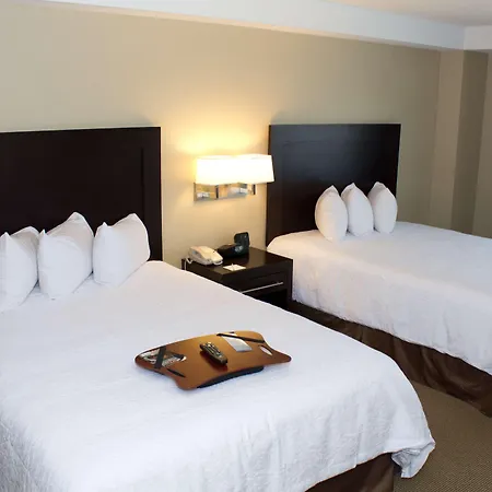 Hampton Inn & Suites Boston Crosstown Center-3
