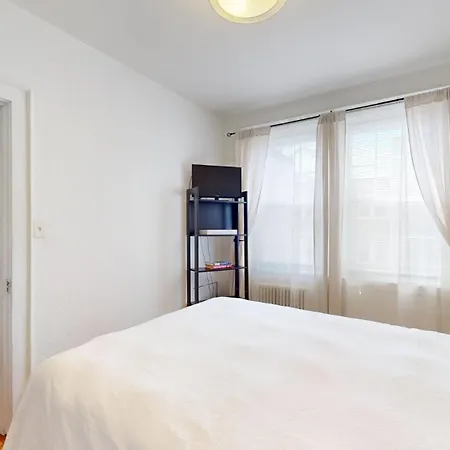 Cozy 1B, Green Line, Boston Coll, Elev, Roof Deck-3