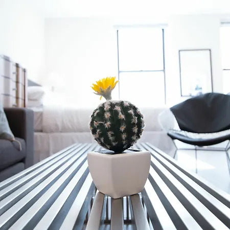 Bright Studio In Downtown Crossing By Sonder-3