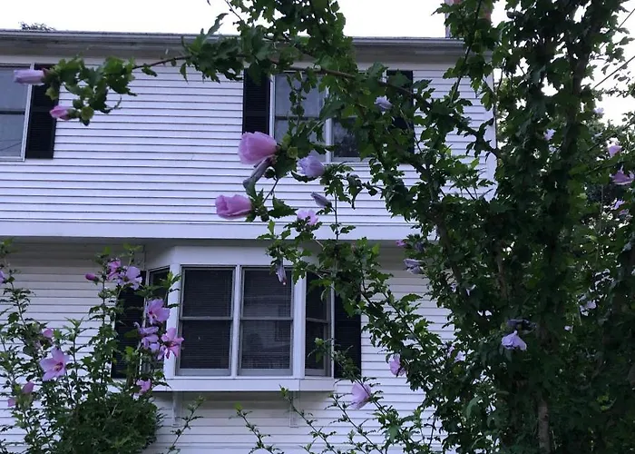 Haustierfreundliches Room In Single Family House - Suburban Neighborhood In Boston