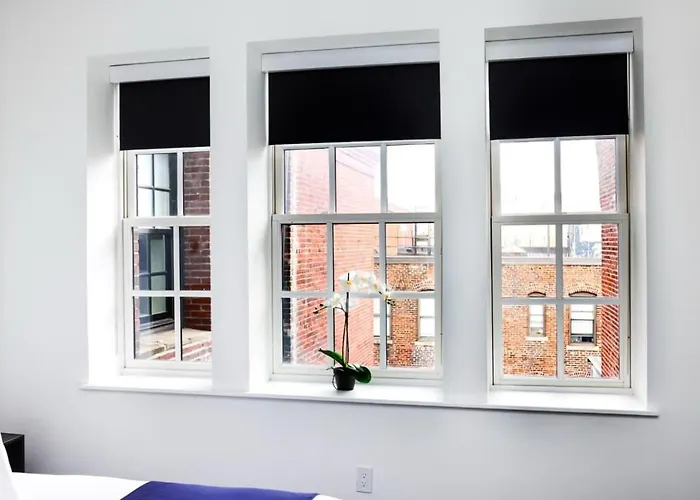 Stylish Studio In Historic Boston - Unit #406 che accetta animali