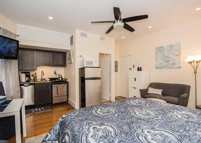 Renovated, Sunny, Spacious Studio In Boston
