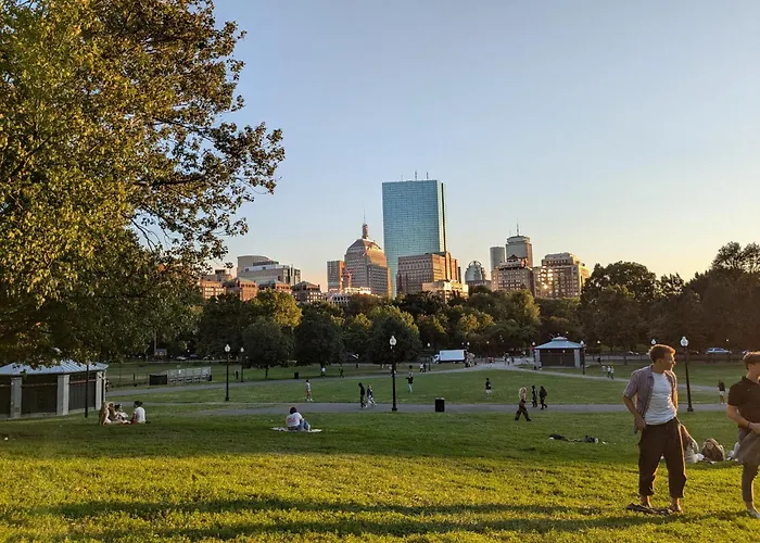 Boston Homestel che accetta animali