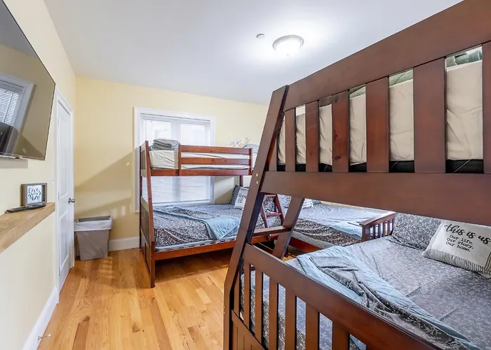 233-1 4Br Boston - Cozy Apt Near Mbta Station que aceita animais de estimação